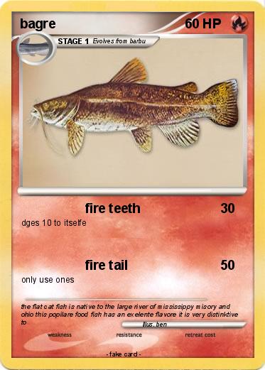 Pokemon bagre