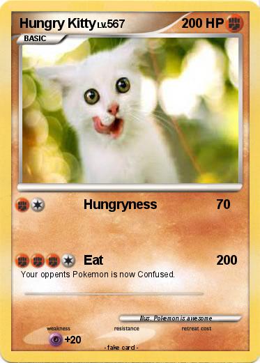 Pokemon Hungry Kitty
