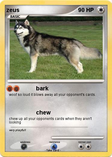 Pokemon zeus