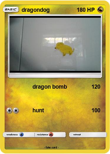 Pokemon dragondog