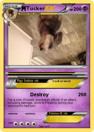 Pokemon Tucker