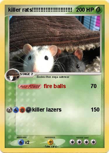 Pokemon killer rats!!!!!!!!!!!!!!!!!!!!!!!!