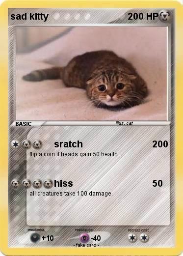 Pokemon sad kitty