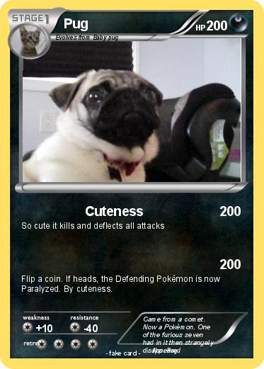 Pokemon Pug