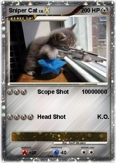 Pokemon Sniper Cat