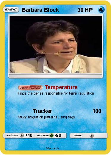 Pokemon Barbara Block