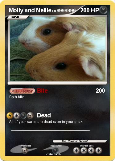 Pokemon Molly and Nellie