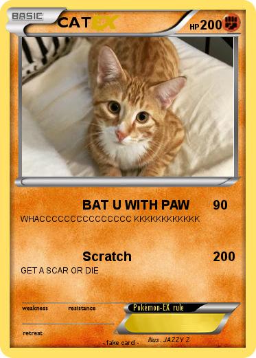 Pokemon CAT