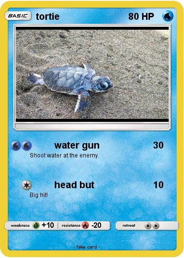 Pokemon tortie