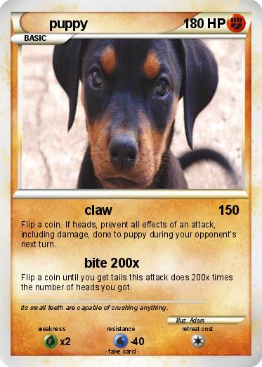 Pokemon puppy