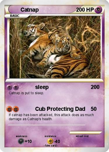 Pokemon Catnap