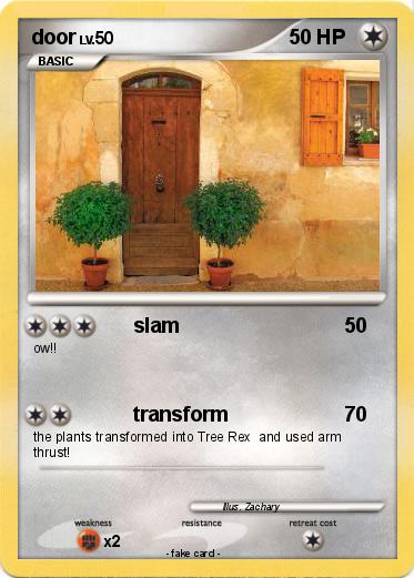 Pokemon door