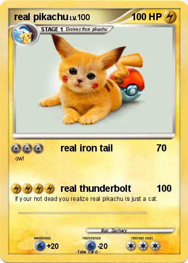 Pokemon real pikachu