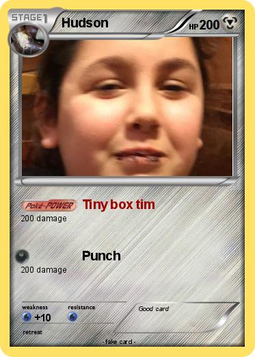 Pokemon Hudson