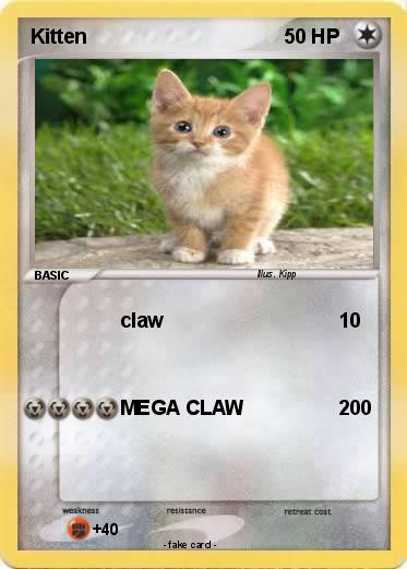 Pokemon Kitten