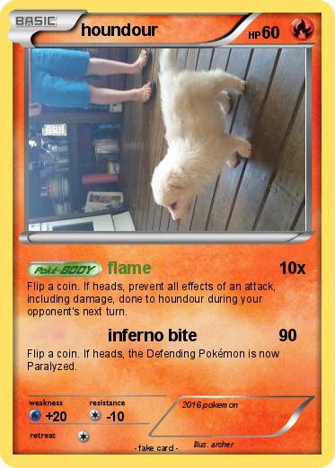 Pokemon houndour