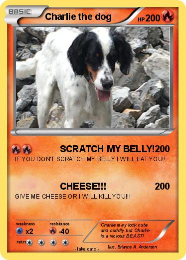 Pokemon Charlie the dog