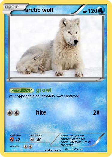 Pokemon arctic wolf