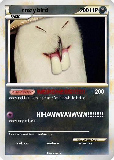 Pokemon crazy bird