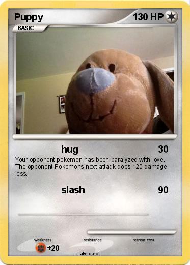 Pokemon Puppy