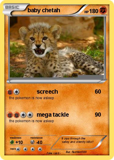 Pokemon baby chetah