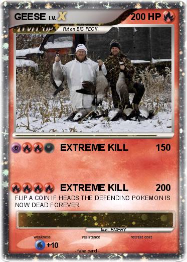 Pokemon GEESE