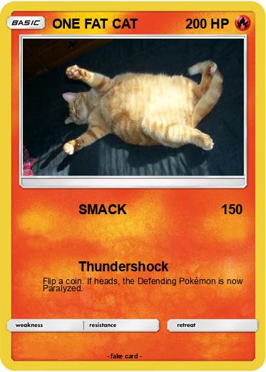 Pokemon ONE FAT CAT