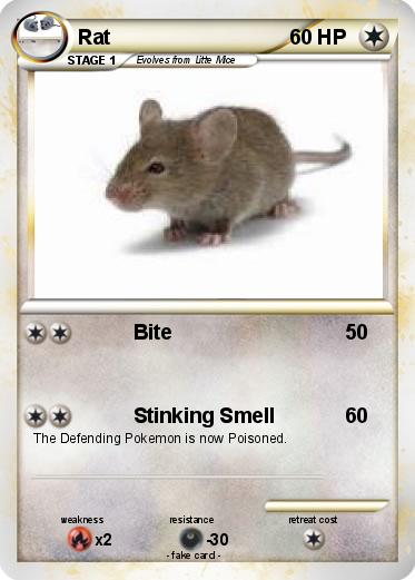 Pokemon Rat