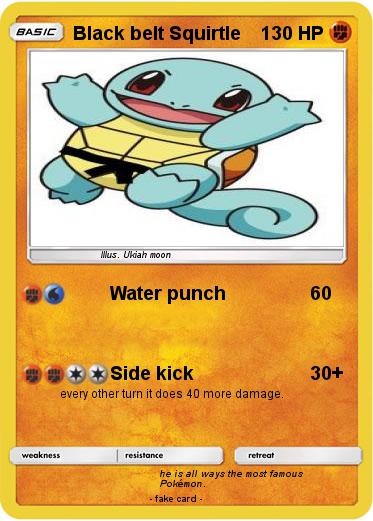 Pokemon Black belt Squirtle