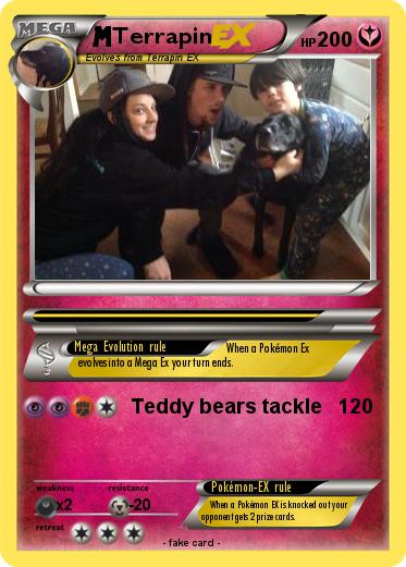Pokemon Terrapin