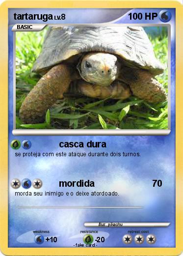 Pokemon tartaruga