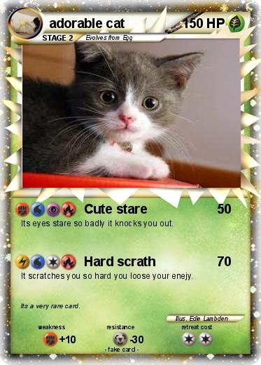 Pokemon adorable cat