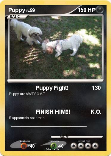 Pokemon Puppy