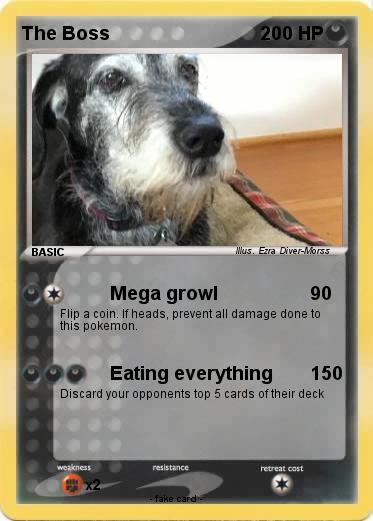 Pokemon The Boss