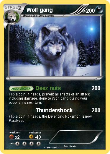 Pokemon Wolf gang