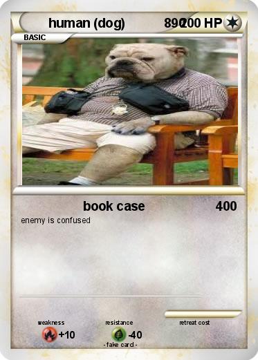 Pokemon human (dog)           890