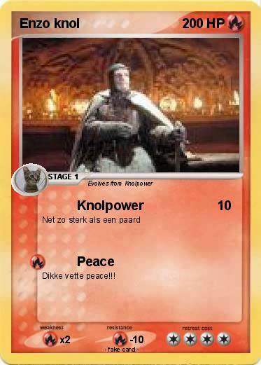 Pokemon Enzo knol