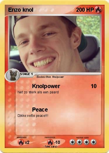 Pokemon Enzo knol