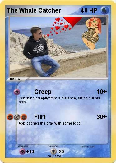 Pokemon The Whale Catcher