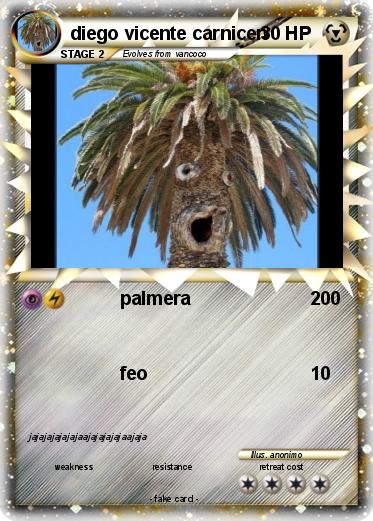 Pokemon diego vicente carnicen