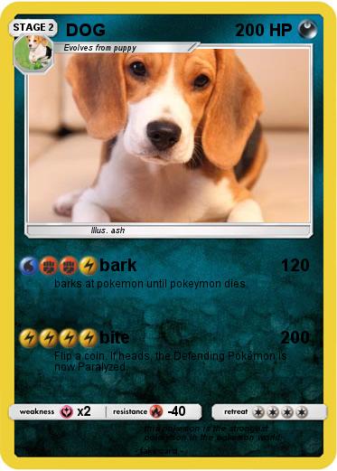 Pokemon DOG