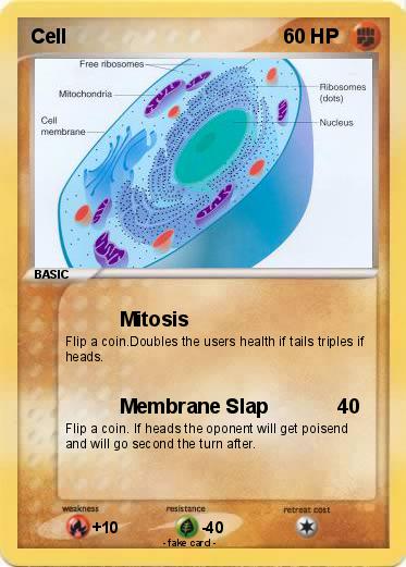 Pokemon Cell Pokemon Cell