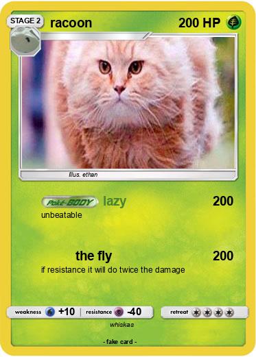 Pokemon racoon
