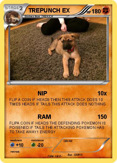 Pokemon TREPUNCH EX