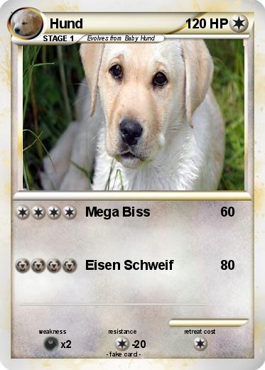 Pokemon Hund