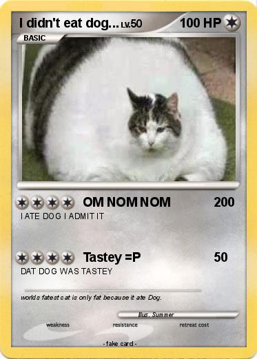 Pokemon I didn't eat dog...