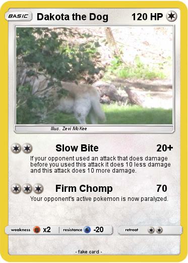 Pokemon Dakota the Dog