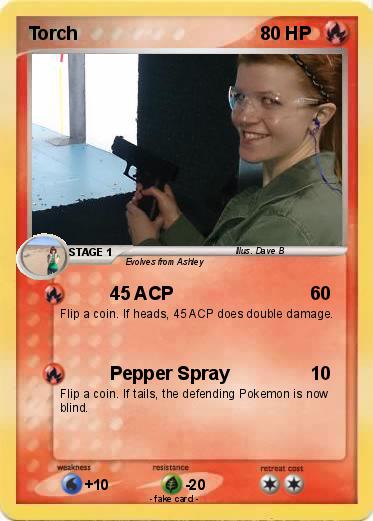 Pokemon Torch