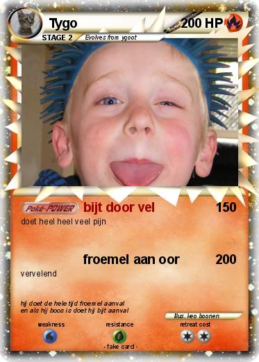Pokemon Tygo