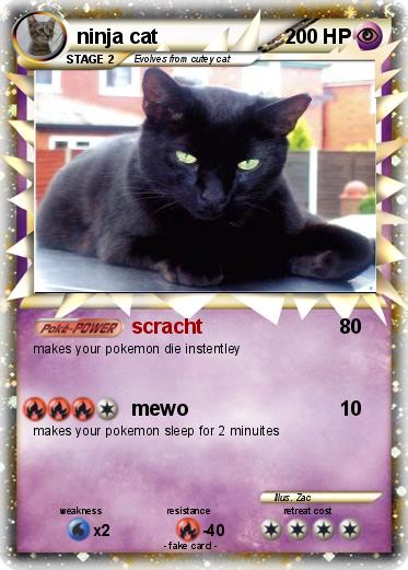 Pokemon ninja cat